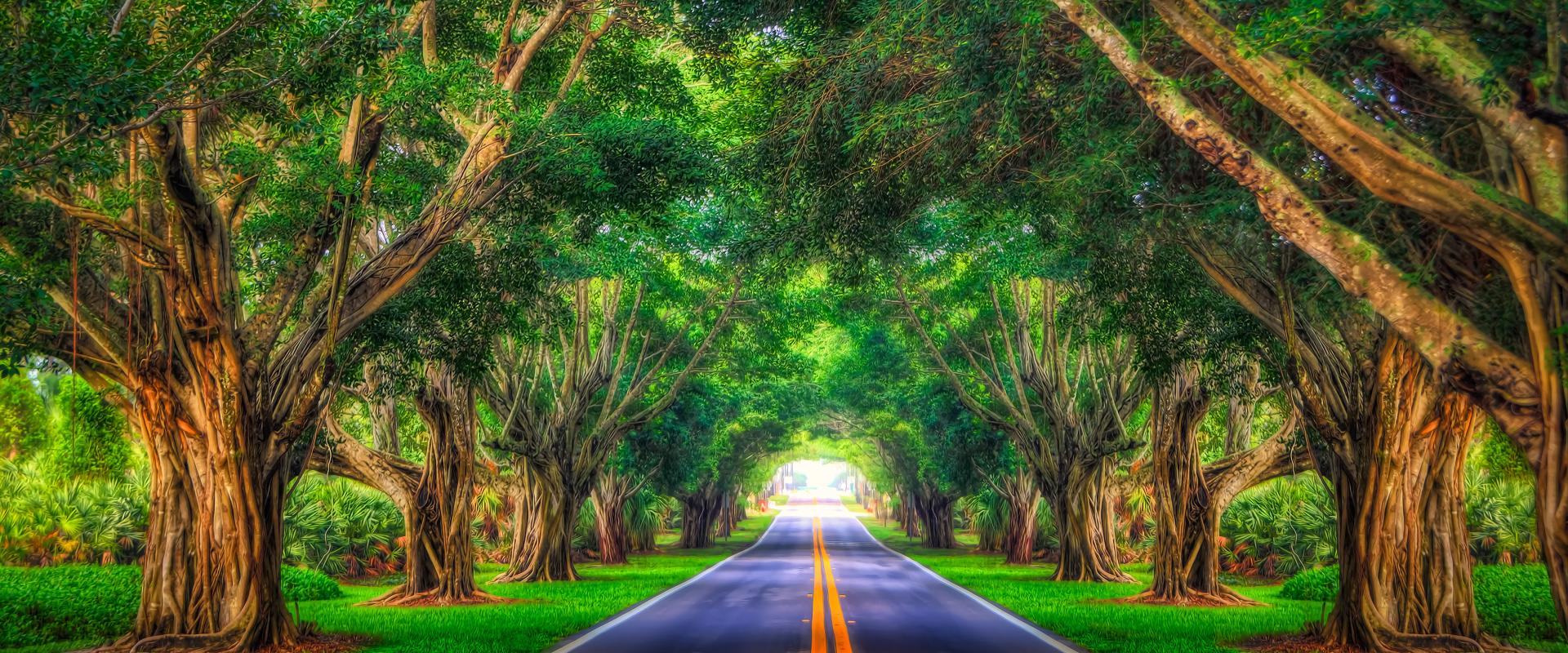 One Economy, Two Realities: Understanding Today's Economic Divide ...